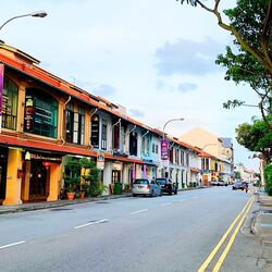Joo Chiat Place (D15), Condominium #290924631